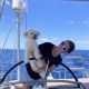 Captain